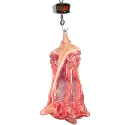 Rhino BAC-1T Báscula Colgante Recargable Backlight Control Remoto HOLD 1000 kg - Básculas - Rhino - KitchenMax Store